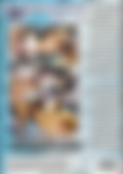 DP Darlings Vol. 1 back cover