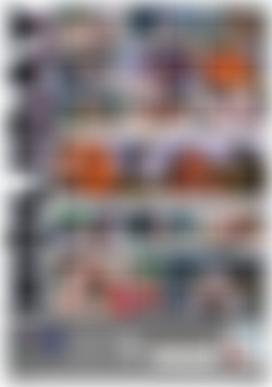 Trannenzapfen Im Walde back cover