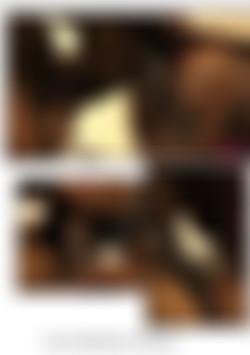 Ghetto Sex Tapes 15 back cover