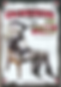 Dungeon Dolls #2 front cover