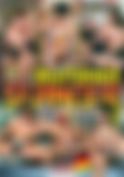 Deutscher Swingerreport 8 front cover