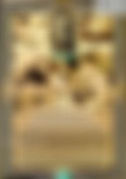 Authentic Antique Erotica Vol. 8 back cover