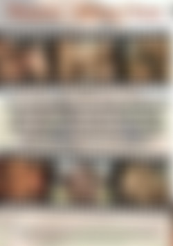 Threesome Addicted Vixens back cover