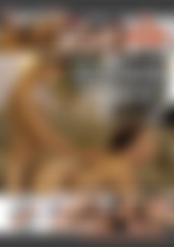 All-American College Action front cover