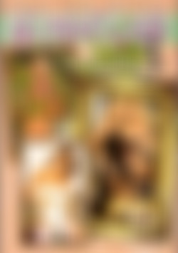 No Man's Land European Edition 3 front cover