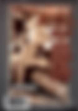 Norm's Dilemma back cover