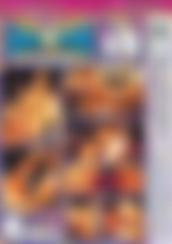 LesbiaNation Vol 19 - Muff Schtuppers back cover