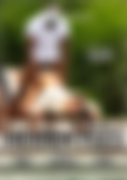 Hidden Fees Vol. 3 front cover