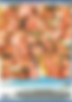 Bi The Pool back cover