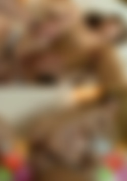 Amateurs Exposed 530 back cover