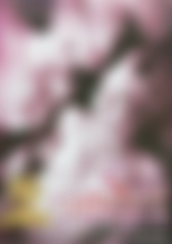 Secret Pleasure front cover