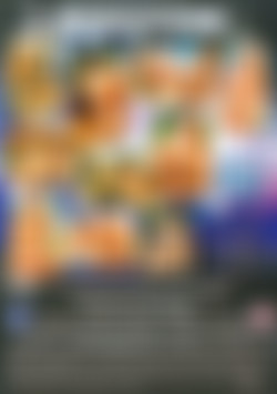 Anal Porn Party back cover