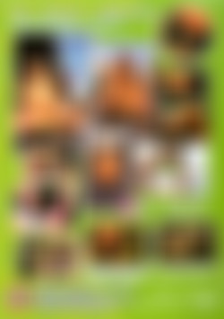 The Little My Maid Vol. 6 - Fresh Live Fuck back cover