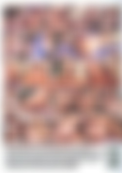 Eager Beavers & Buttholes back cover