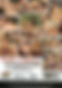 Squirt-A-Holics 5 back cover