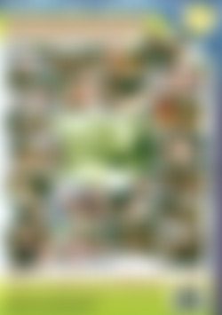 All Holes No Poles 7 back cover