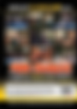 Fun Lovin' Porn Swingers back cover