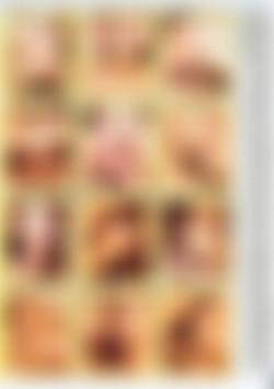 Pornstars Vol. 18: Lauren Phoenix's Sexy Allstars back cover