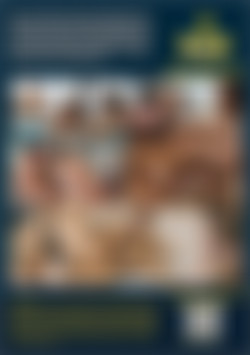 Cucks Gone Bi Vol. 3 back cover