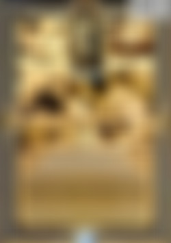 Authentic Antique Erotica Vol. 9 back cover