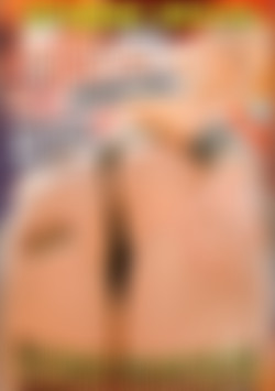 Seymore Butts' The Anal Express front cover