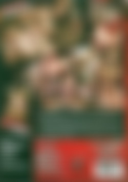 DP Violations 2 back cover