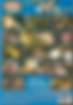 Classic Black On White Action back cover