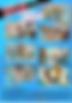 Taboo Sex Fantasies Volume 16 - Sluts Submerged back cover