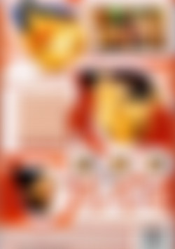 Vivid Superstars: Mercedez back cover