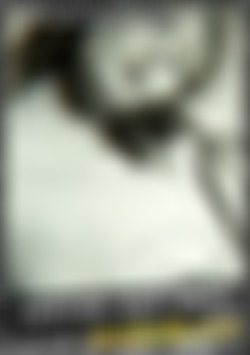 White Box Productions D43 - Leopard Skin Dress front cover