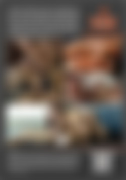 On the Hunt for Hung Freshmen back cover