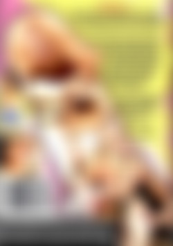 Young Chicks First Dicks back cover