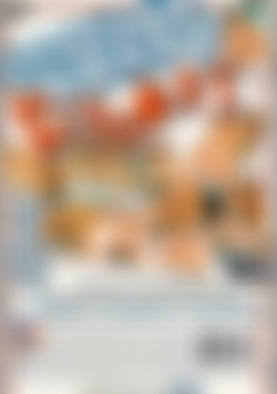 Teenage Panty Raiders back cover