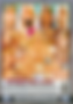 Double Air Bags #20 back cover