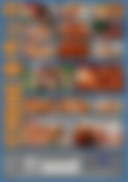 Schwanz Im Po & Co back cover