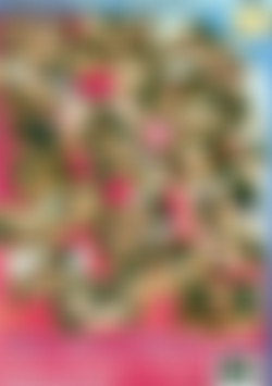 Boy Meats Girl 5 back cover