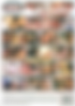 Dark Haired Vixens 2 back cover