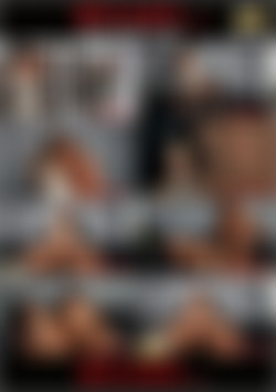 Inspector, The back cover