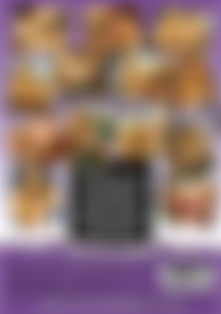 Strap-On Sluts Fucking Studs 3 back cover