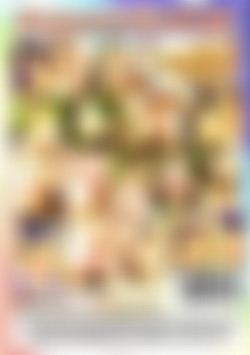 Amateur Hardcore #23 back cover