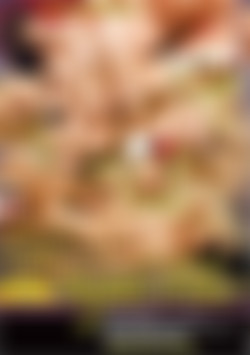 Girls of Roxy Club 23, The back cover