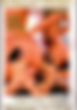 Clash of the Asses front cover