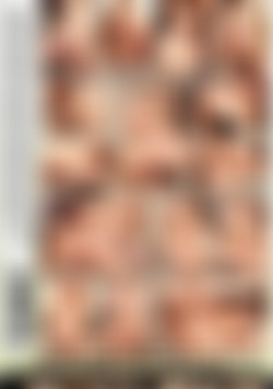 I Am a Sophomore Slut #2 back cover