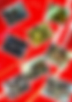 The Adventures of Layla back cover