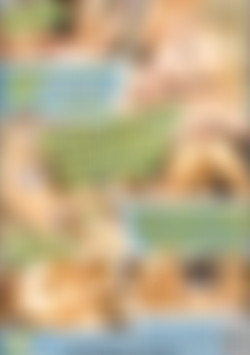 Vivid Girl Confidential: Dayton back cover