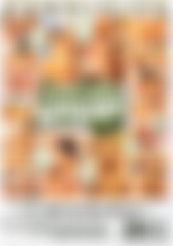 Secret Lesbian Affairs Vol. 4 back cover