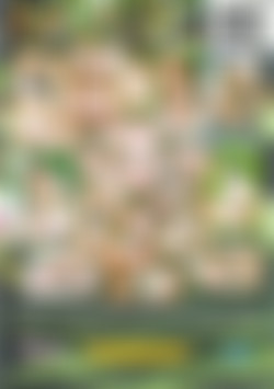 Schoolgirls' Confessions back cover