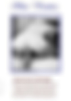 Classic Stags 363: Hardcore Rated X '20s to '60s (Mostly B&W) front cover