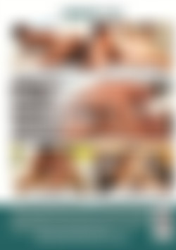 Butt Virgins 3 back cover