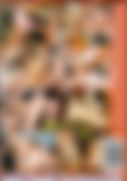 Anal Pounding #15 back cover